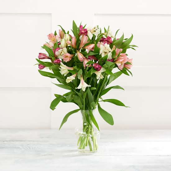 Sainsbury's Alstroemeria Abundance Flowers