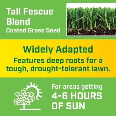 Vigoro 3 lbs. Tall Fescue Grass Seed Blend - Thumbnail 2