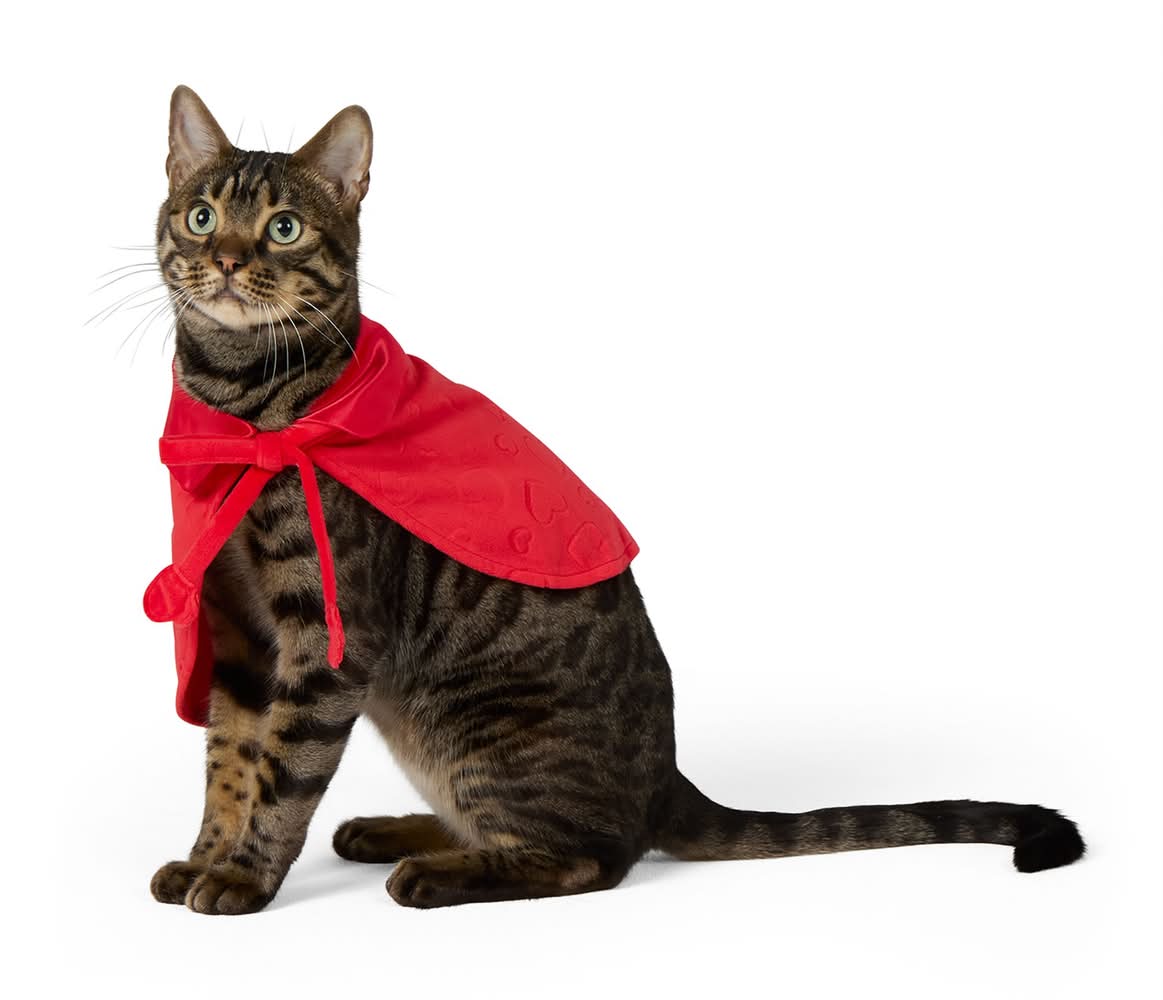 Whisker City® Valentine's Cape (Color: Red, Size: Medium/Large)