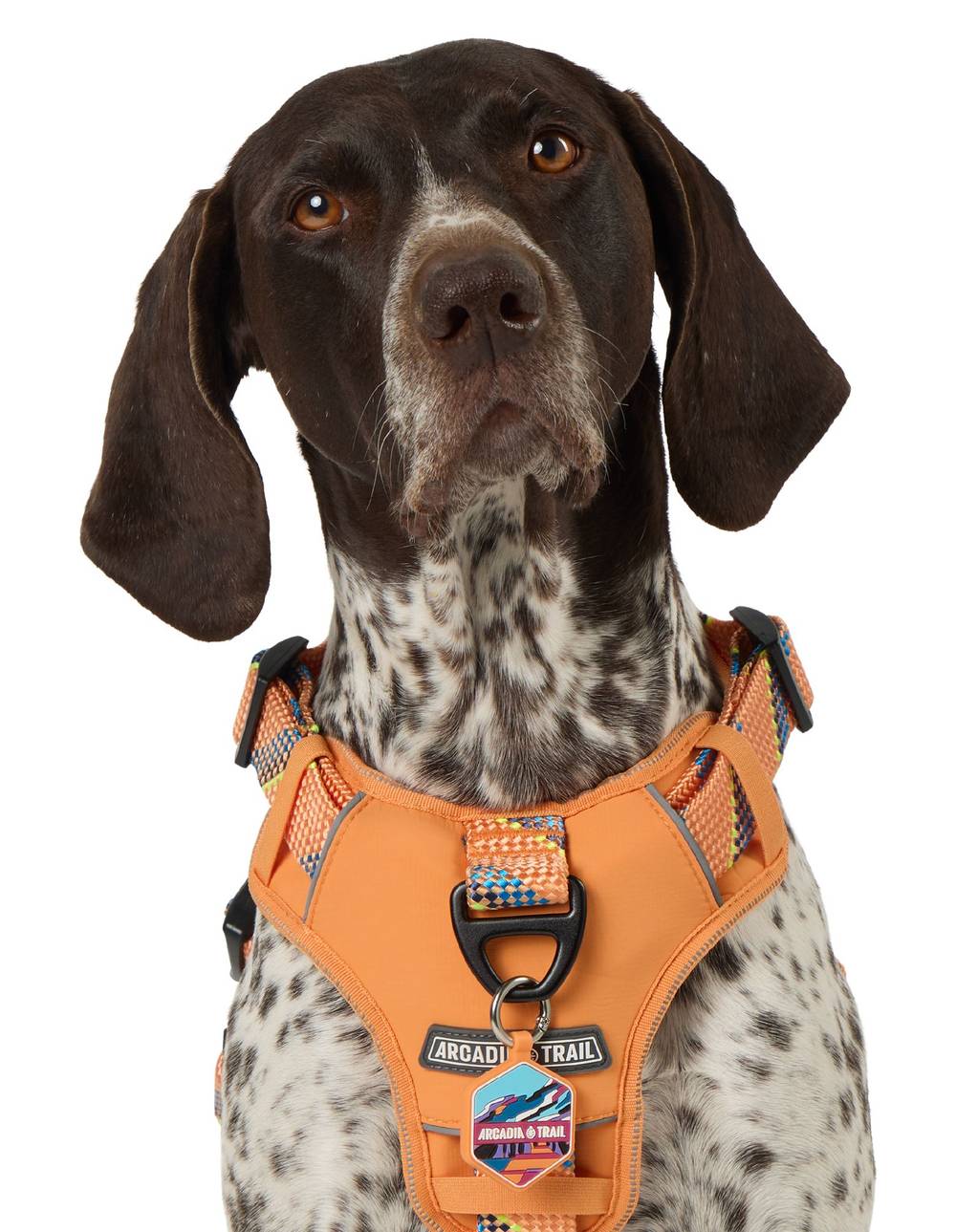 Arcadia Trail® Silicone Dog Tag Silencer (Color: Multi Color)