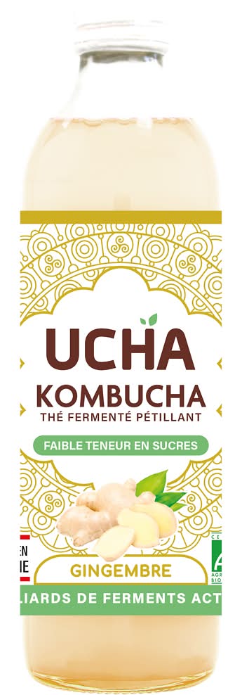 Ucha - Boisson pétillante au thé fermenté bio, gingembre (350ml)