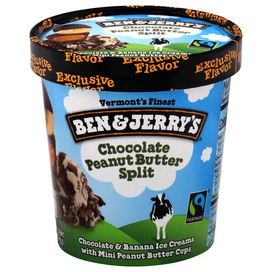 Ben & Jerry's Chocolate Peanut Butter Split Ice Cream (1 pint)