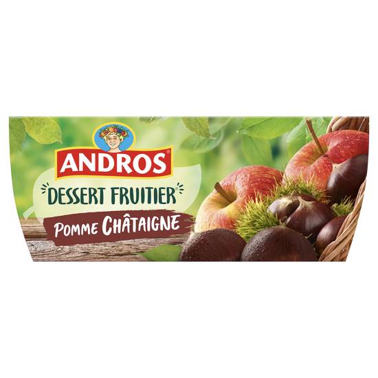 Andros - Compote pomme chataîgne ( 4 pièces)