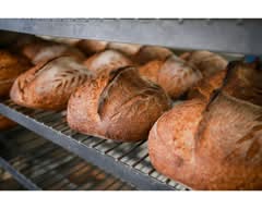 Proof Bread (Litchfield Park)