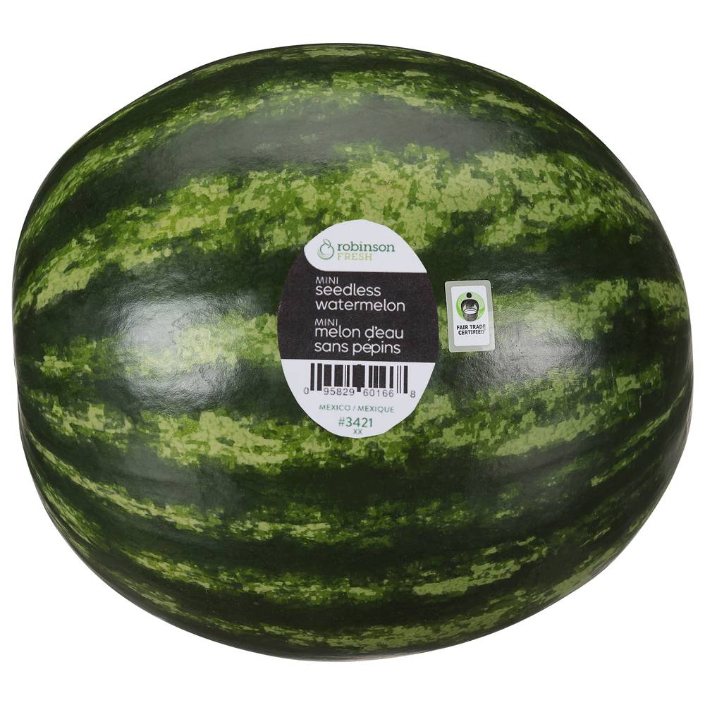 Robinson Fresh Seedless Watermelon Mini