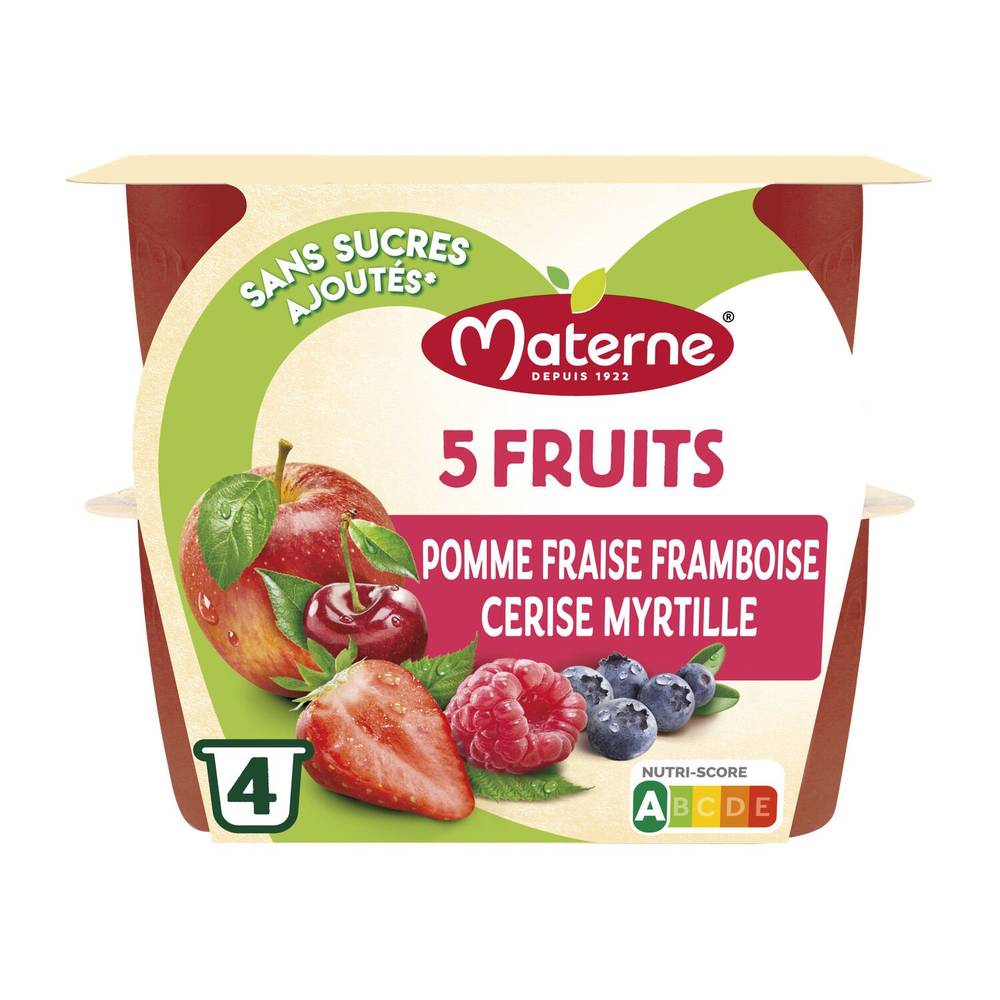 Materne - Coupes compote de 5 fruits (pomme-fraise-fromboise-cerise-myrtille)