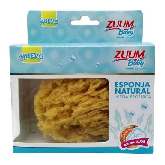 Esponja Natural Zuum Baby (Venta por caja)