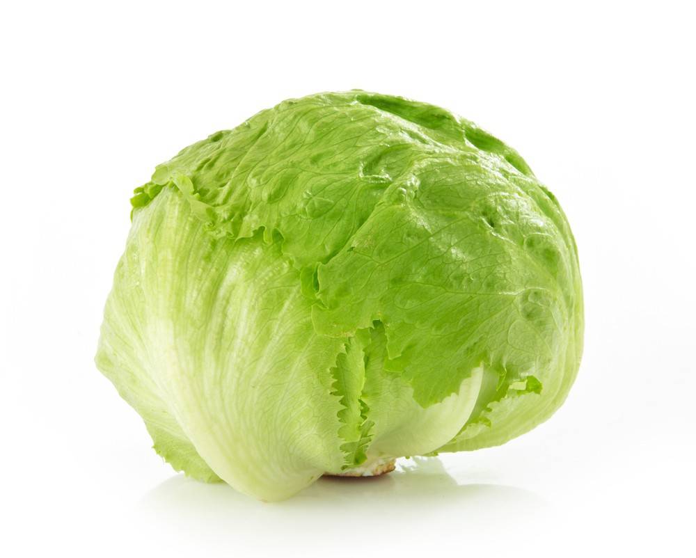 Iceberg Lettuce Head