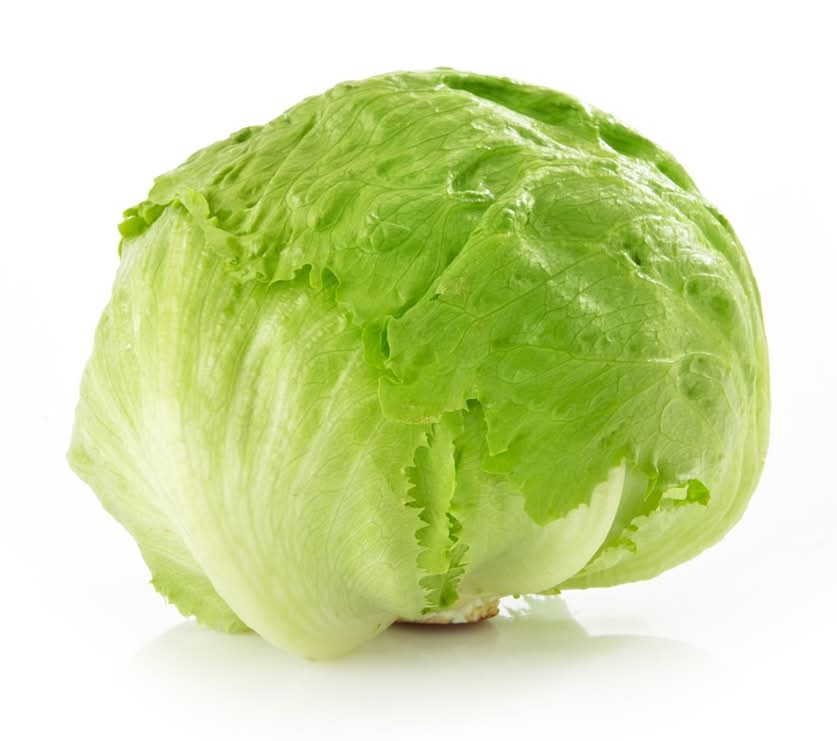 Iceberg Lettuce Head