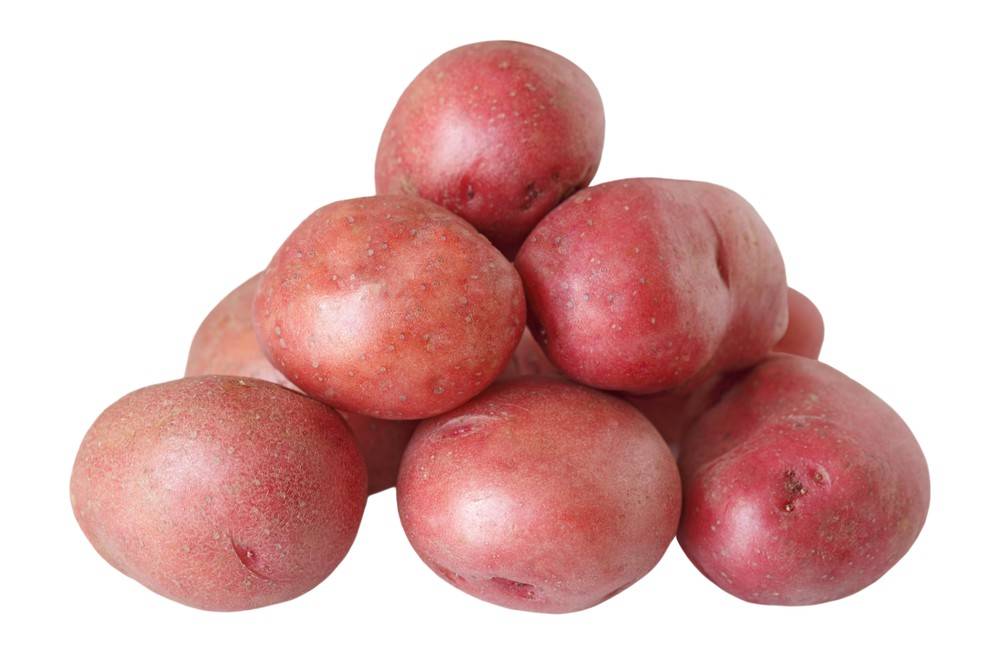 Organic Red Creamer Potato