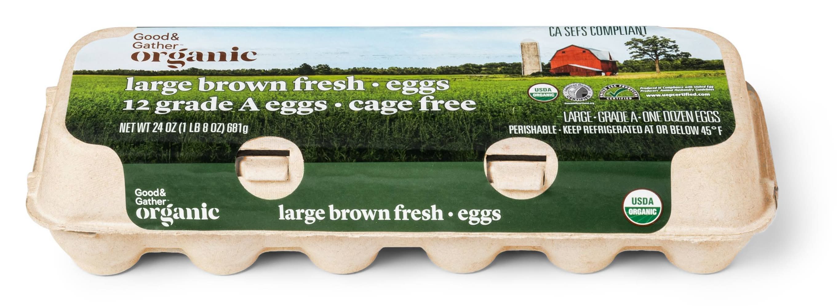 Good & Gather Organic Grade a Brown Eggs, Large (12 ct)