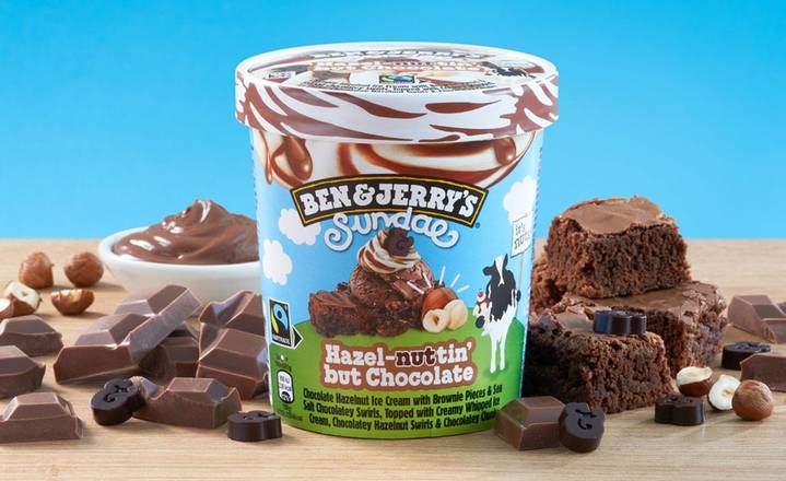 Ben & Jerry's 'Hazel-nuttin' but Chocolate Sundae Ice Cream 427ml