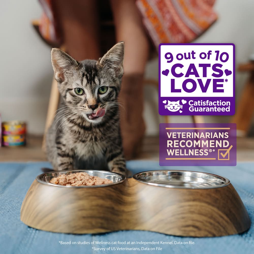 Wellness CORE Tiny Tasters Wet Cat Food Delivery Near Me | Order Online |  Uber Eats