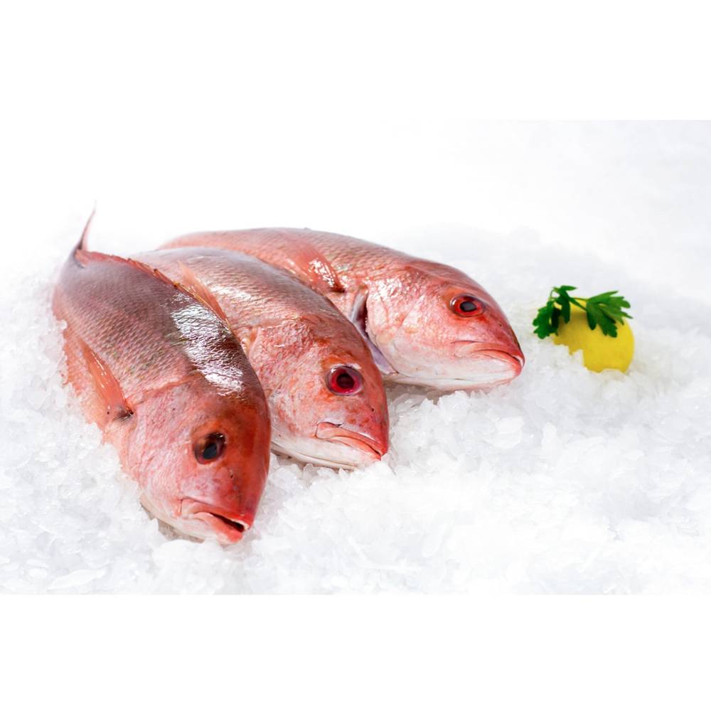 Whole Red Snapper - 2/3 lbs (Case of 1)