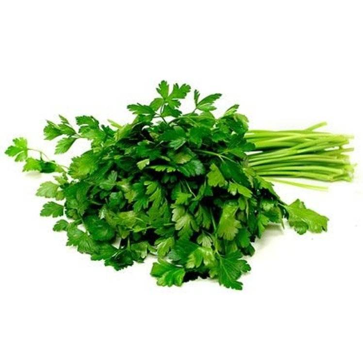 Italian Flat Leaf Parsley Fresh