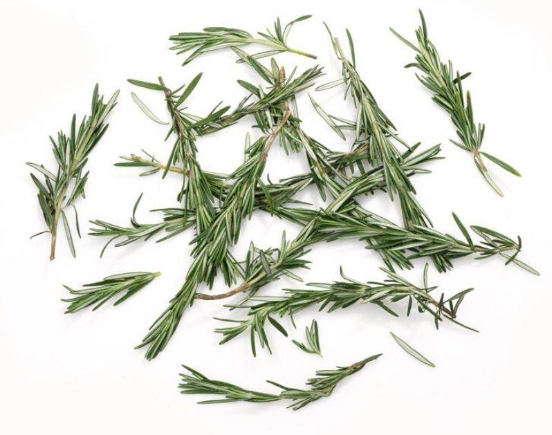 Rosemary