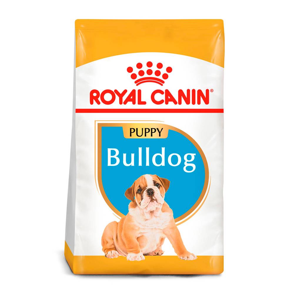 Royal canin alimento seco para bulldog inglés (cachorro )