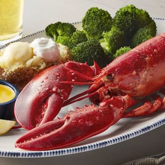 Live Maine Lobster (1.25 lb.)