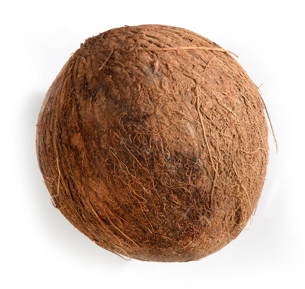 Husked Coconut 1 Count