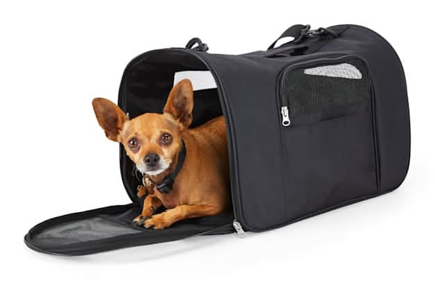 EveryYay Going Places To Go Pet Carrier, S, Black