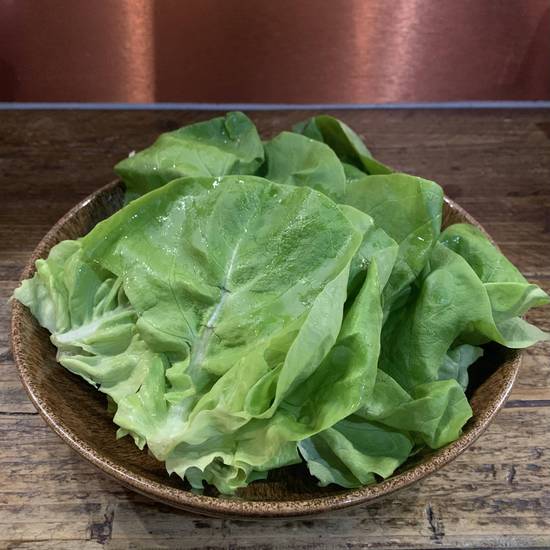Fresh Lettuce