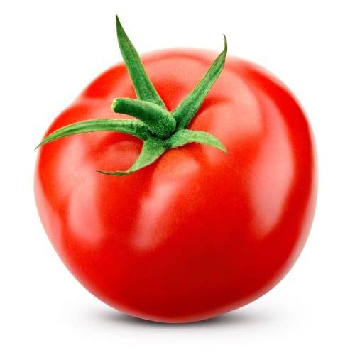 Large Red Tomato (1 tomato)