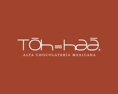 Toh haa alta chocolatería mexicana