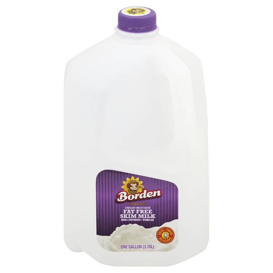 Borden Fat Free Skim Milk (1 gal)