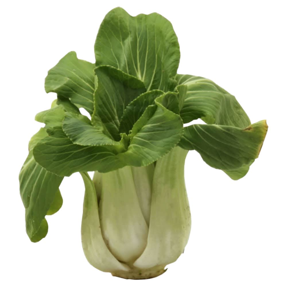 Organic Baby Bok Choy
