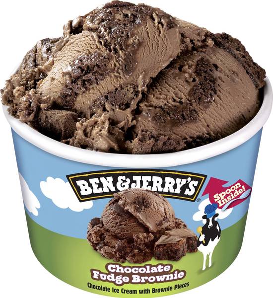 Ben & Jerry's Chocolate Fudge Brownie 100ml