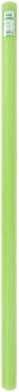 Pool Noodle Green