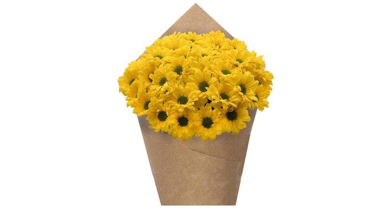 Premium Poms - Yellow, 6 stem