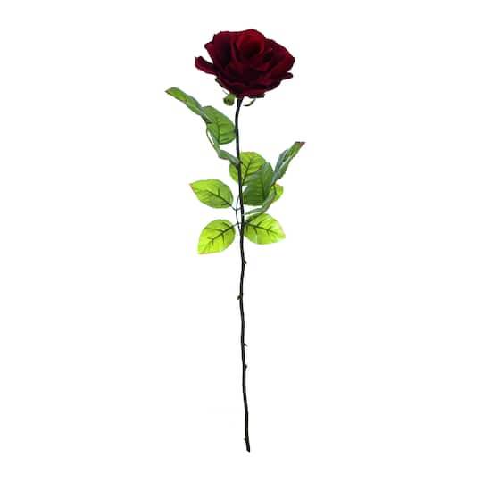 Burgundy Holland Rose Stem By Ashland