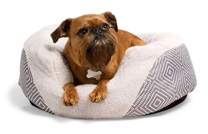 EveryYay Essentials Oval Cuddler Pet Bed, Grey Diamond