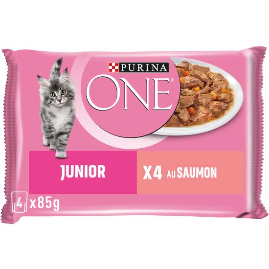 Purina - One chat junior de 1 à 12 mois effilé saumon (4 pièces)