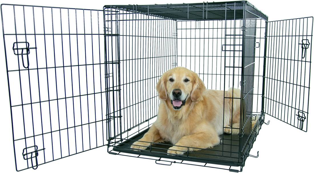 Play On Double Door Shelter For Pets, Black