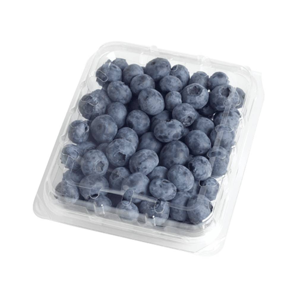 Organic Blueberries (6 oz)