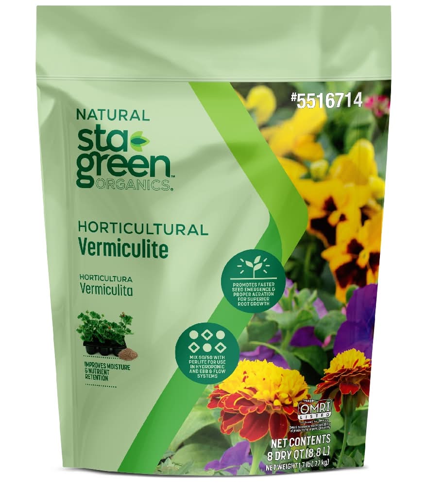 lavender plants images Lavender Common Seeds (Lavandula Angustifolia)