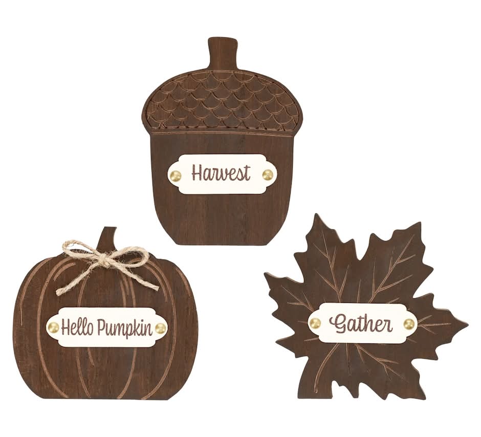 Seasonal Collection Harvest-themed Tabletop Decor, Assorted Designs
