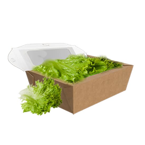 Salade Verte