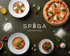Spiga Napoletana