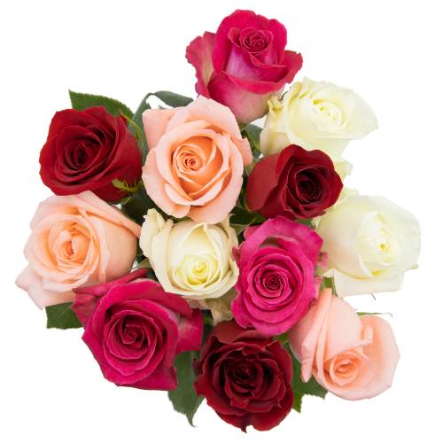 Dozen Rainbow Rose Bunch