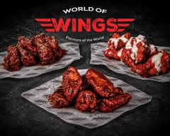World of Wings (Duxons Turn HP2)