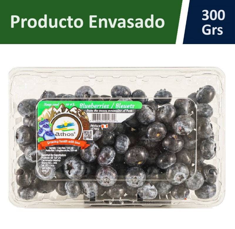 Arándanos importado (300 g)