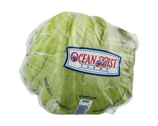 Order Ocean Mist · Lettuce (1 ct) food online from Safeway store, Butte on bringmethat.com