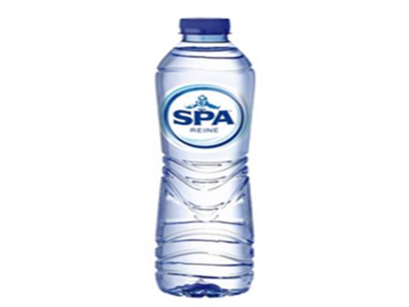Spa Reine Blauw PET bottle 500ml