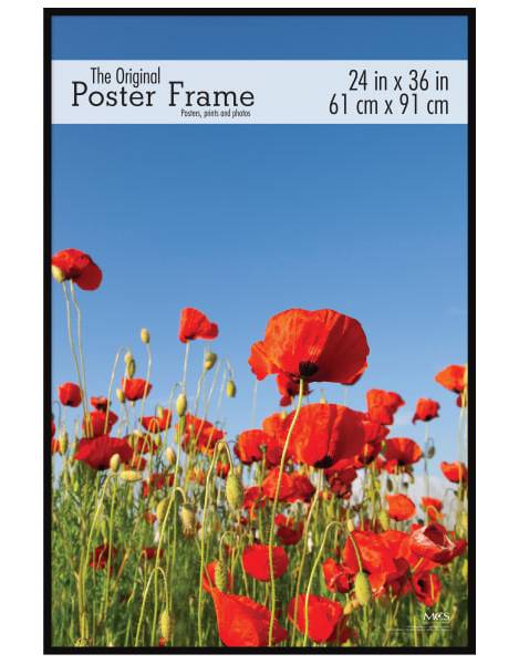 MCS Original Poster Frame, 24" x 36"