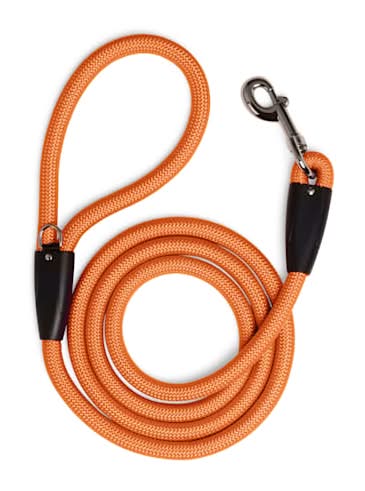 YOULY Rope Dog Leash, Orange, 6-ft long, 1/2-in wide