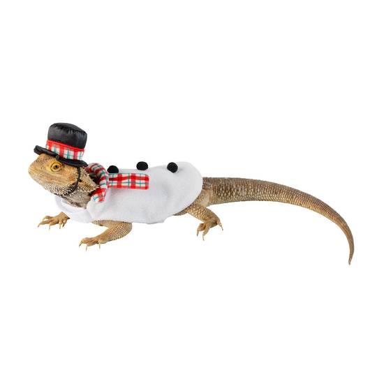 Merry & Bright™ Snowman Reptile Costume (Color: Assorted)