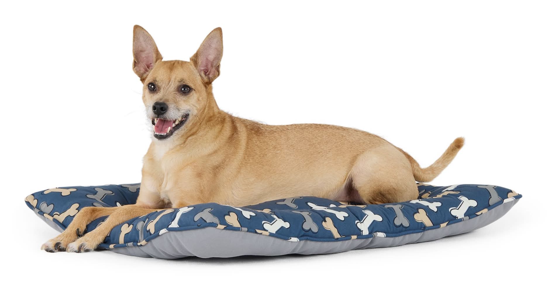 Top Paw Navy Bone Print Pillow Bed, Small/Medium, Large/X Large (Color: Multi Color, Size: S/M)